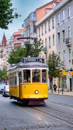 Immagine di Camicie Donna Modello 25